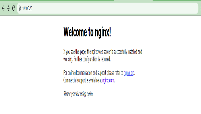 How to Install Nginx in Ubuntu 20.04
